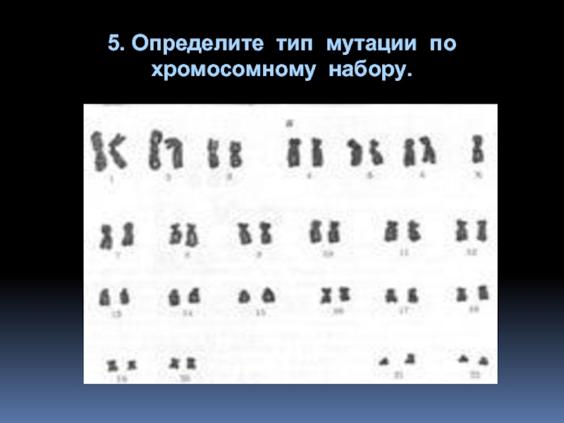 Сопоставьте рисунки и названия хромосомных мутаций