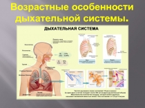 Возрастные особенности дыхательной системы