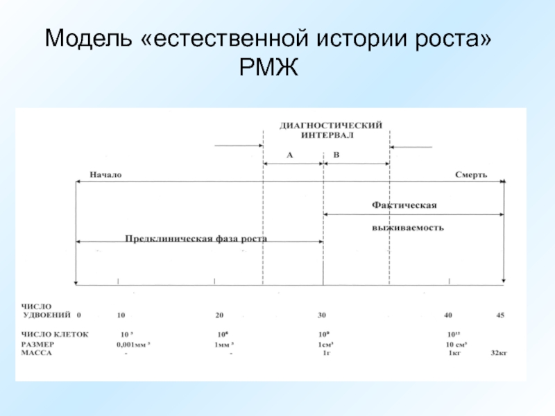 Модели естественного роста