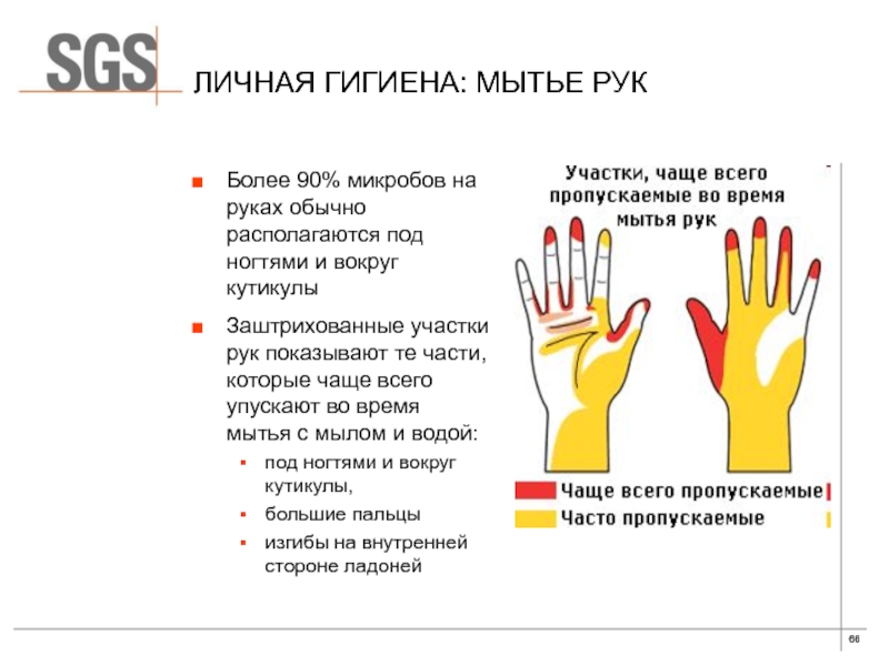 Личная гигиена: мытье рукБолее 90% микробов на руках обычно располагаются под ногтями и вокруг кутикулыЗаштрихованные участки рук