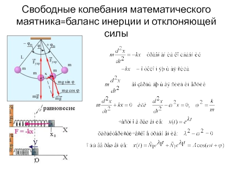 Маятник совершает свободные колебания. Формула начальной фазы колебаний математического маятника. Дифференциальное уравнение движения математического маятника. Колебания реального математического маятника. Колебания реального математического маятника вынужденное.