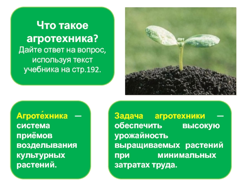Что такое агротехника?Дайте ответ на вопрос, используя текст учебника на стр.192.Агроте́хника — система приёмов возделывания культурных растений.