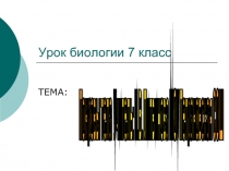 Покровы тела (7 класс)