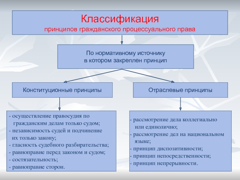 Реферат: Общие принципы гражданского процессуального права