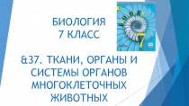 БИОЛОГИЯ 7 КЛАСС &3 7. ТКАНИ, ОРГАНЫ И СИСТЕМЫ ОРГАНОВ МНОГОКЛЕТОЧНЫХ ЖИВОТНЫХ