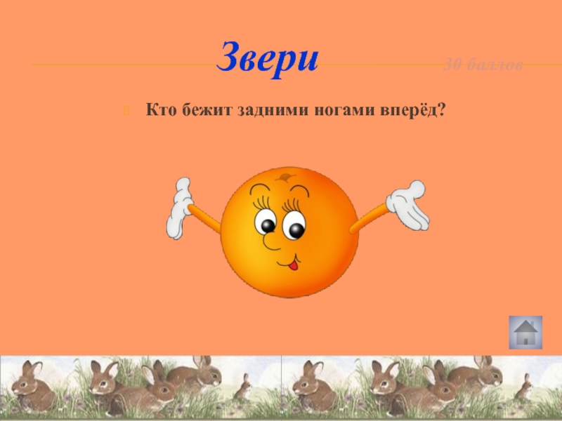 Животное балл. Что теряет Лось каждую зиму. Какой зверь бежит задними ногами вперед. Кто из зверей бежит задними ногами вперед. Кто бежит выставляя вперёд задние ноги.