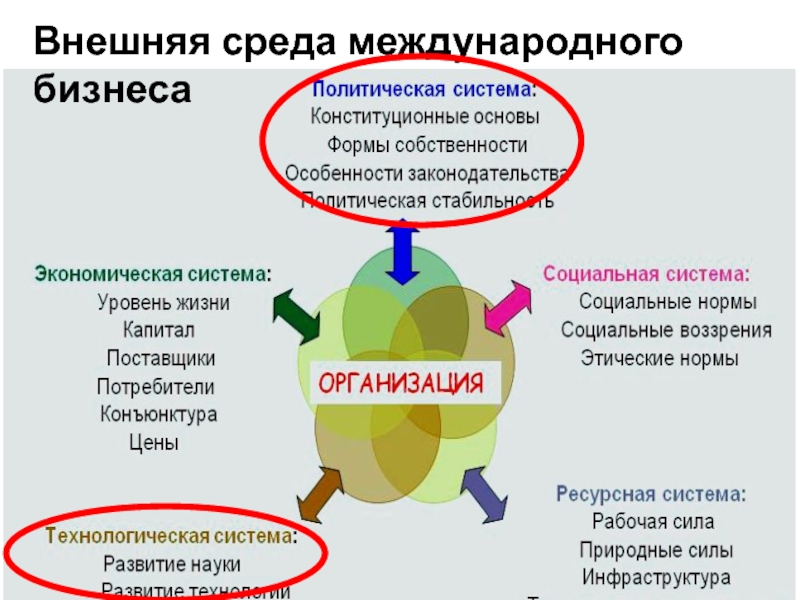 Анализ бизнес среды в бизнес плане