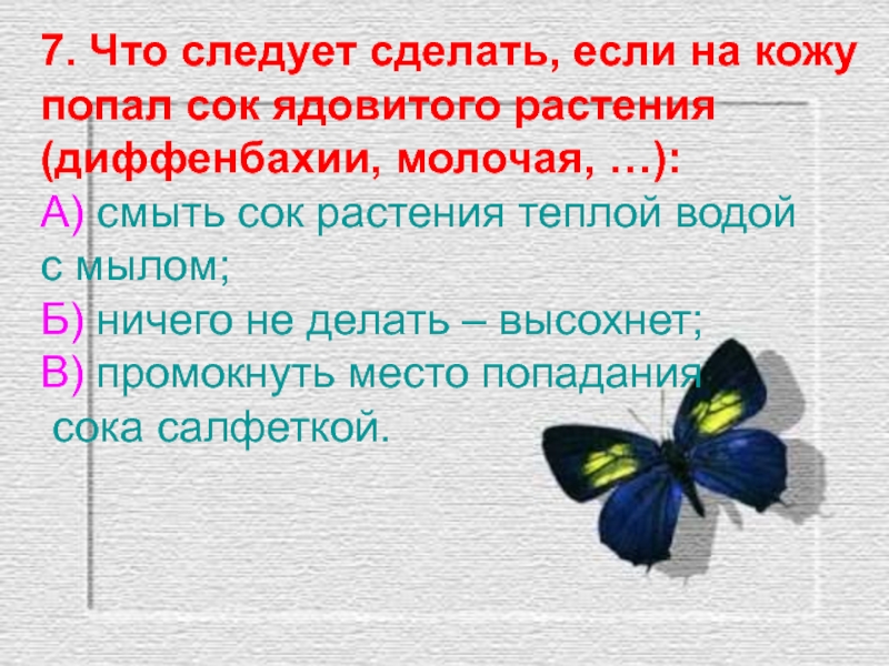 Что делать если ты токсичный. Сок молочая попал на кожу что делать. Сок цветка молочая попал в глаз. Сок диффенбахии попал на кожу что делать.