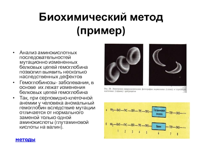 Биохимический метод генетики презентация