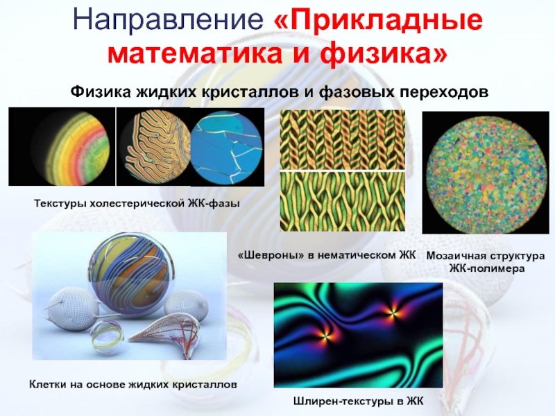 Мозаичное строение сообщества обусловлено. Лиотропные жидкие Кристаллы. Фазовые переходы в жидких кристаллах:. Прикладная математика и физика. Мозаичная структура кристалла.