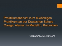 Praktikumsbericht zum 8-wöchigen Praktikum an der Deutschen Schule - Colegio