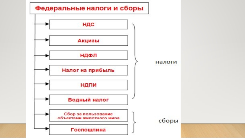 Региональные налоги презентация