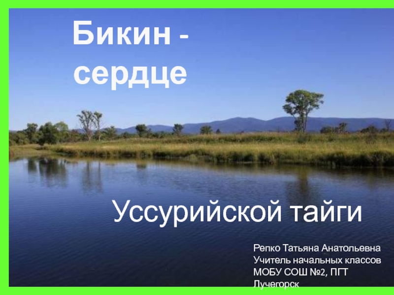 Презентация Бикин-сердце Уссурийской тайги 4 класс