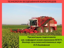 Технология возделывания корнеплодов 