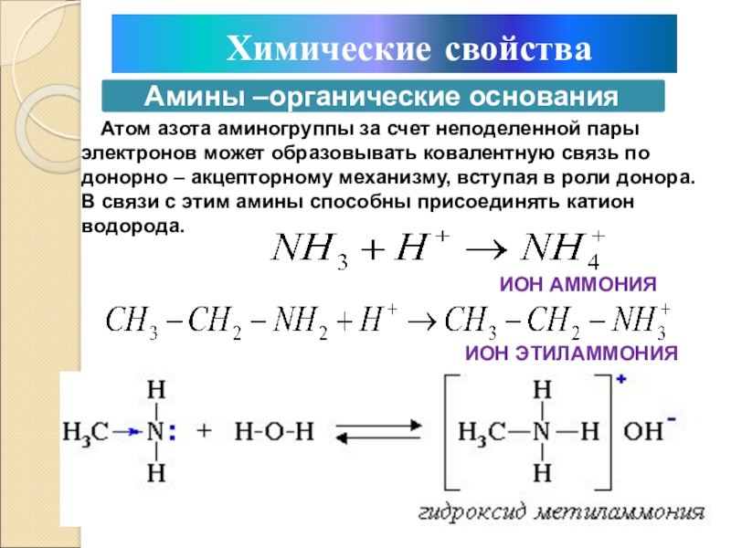 Электронное соединение атома азота. Амины донорно акцепторный механизм. Неподеленные электронные пары азота. Свойства аминогруппы.