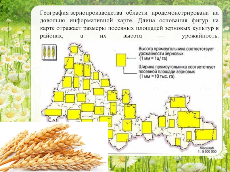 Оренбургская область хозяйство. Сельское хозяйство Растениеводство Оренбургская область. Сельское хозяйство Оренбургской области карта. Сельскохозяйственные районы Оренбургской области. Растениеводство в Оренбургской области.