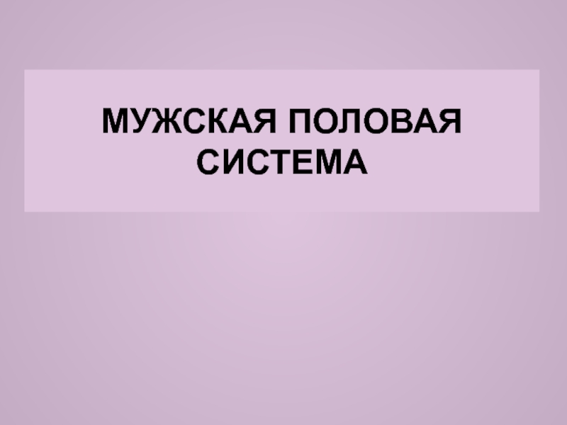 МУЖСКАЯ ПОЛОВАЯ СИСТЕМА