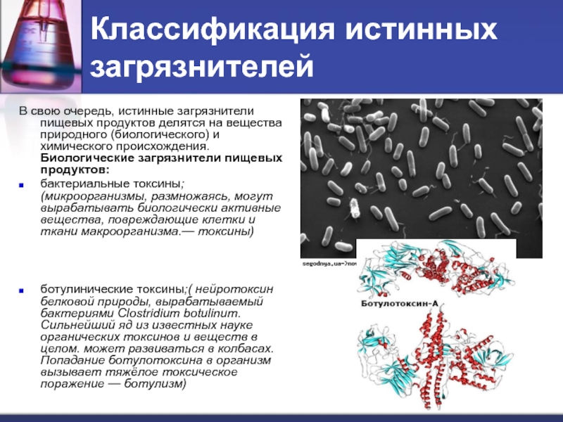 В какие продукты могут превращаться загрязнители. Загрязнители пищевых продуктов. Биологические загрязнители пищи. Химические загрязнители пищи. Назовите химические вещества загрязнители пищевых продуктов.