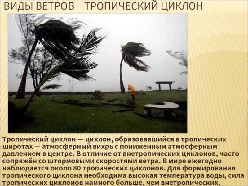 Ветер виды. Виды ветра. Интересное о ветрах. Вид ветра тропический циклон. Сообщение о ветре.