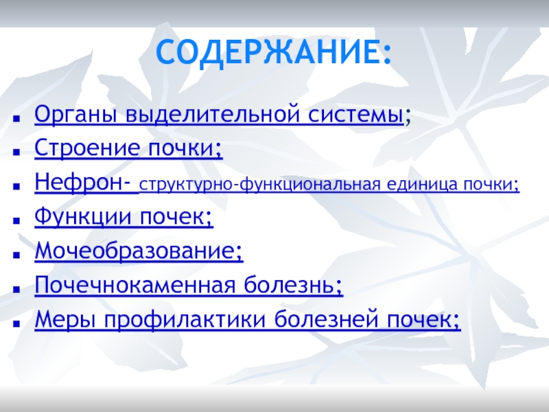 Содержание орган. Выделительная роль прилагательных. Классификация заболеваний почек по структурно-функциональному.