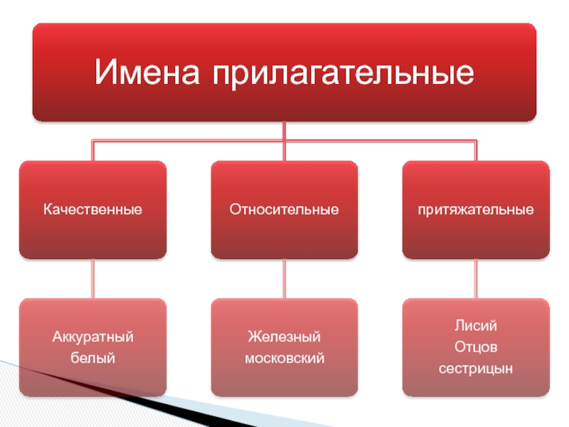 Прилагательные качественные относительные притяжательные 5 класс презентация