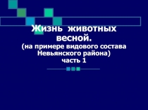 Жизнь животных весной