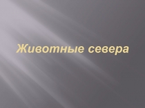 Конспект НОД  Познавательное развитие   ГОН с 4 – 5 лет. Тема^ Животные севера.