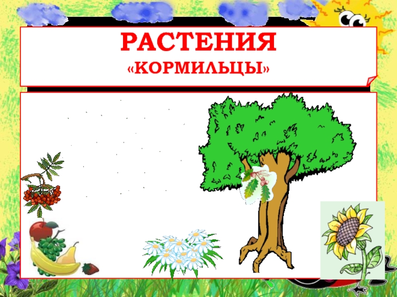 Растения кормильцы