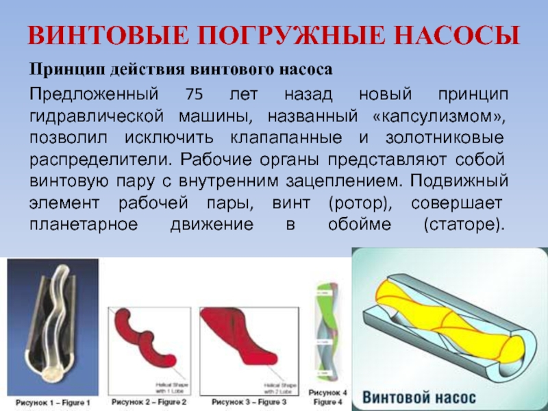 Винтовой насос презентация