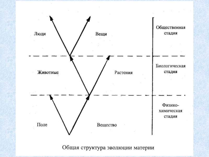 Общественная вещь