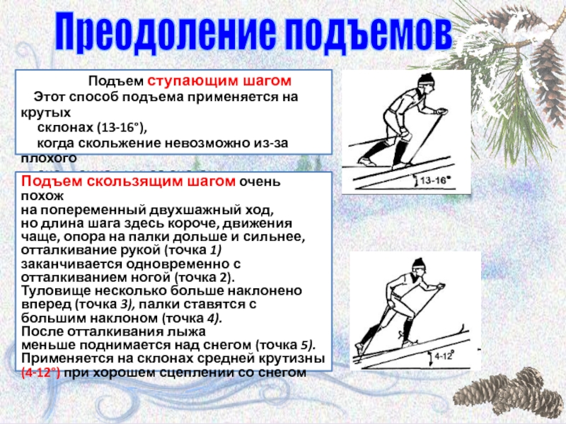 Передвижение на лыжах скользящий шаг. Техника подъема ступающим шагом. Подъем скользящим шагом. Подъем скользящим шагом на лыжах. Преодоление подъемов на лыжах.