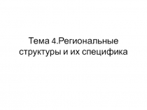 Тема 4.Региональные структуры и их специфика