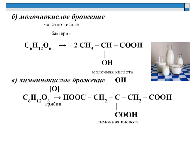 Молочнокислое брожение это