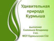 Удивительная природа Курмыша выполнил Соловьев Владимир 3 кл. МОУ Курмышская СШ