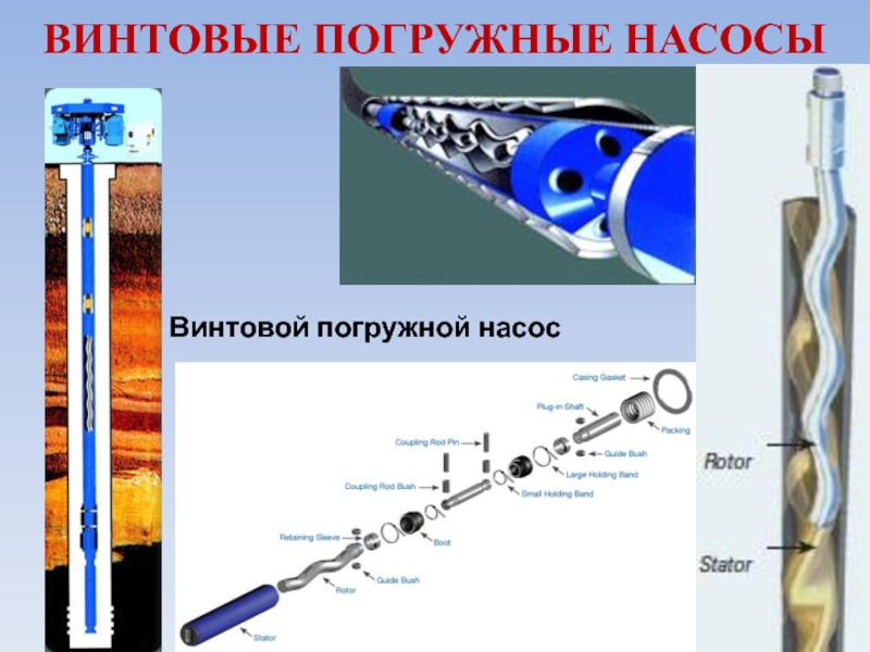 Винтовой насос презентация