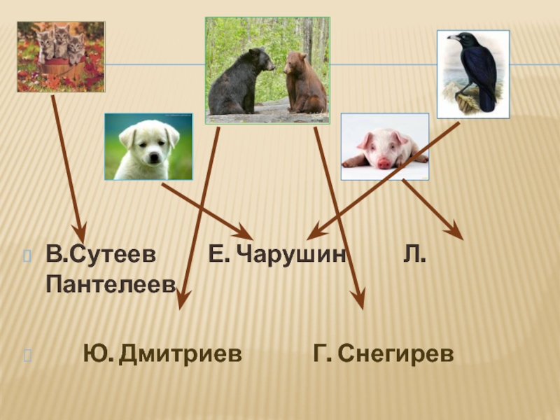 Рассказы о животных Е. Чарушина, Н.Сладкова 1 класс
