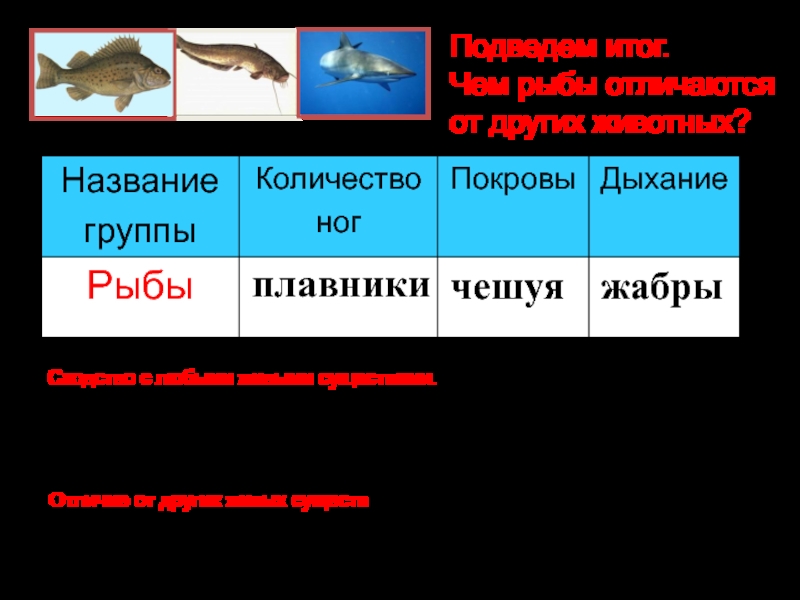 Рыбный и рыбий разница что лучше. Отличие рыб от других животных. Что отличает рыб от животных. Какие признаки отличают рыб от других животных. Чем рыбы отличаются от других животных 2 класс.