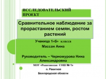 Сравнительное наблюдение за прорастанием семян, ростом растений (1 класс)