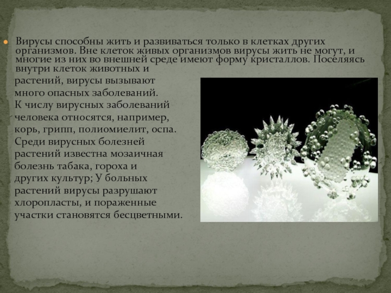 Вирусы способны. Вирусы вне клеток других организмов. Вирусы обитают только в живых организмов. Вирусы не могут жить вне клетки. Сколько живут вирусы вне организма.