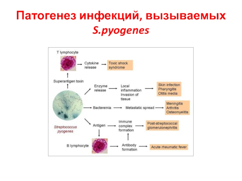 Кое это микробиология