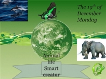 Animal life. Smart creatures 5 класс