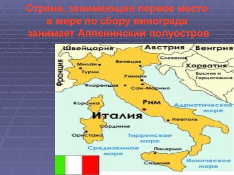 Презентация страны южной европы. Страны Южной Европы на полуостровах. Страна, занимающая первое место в мире по сбору винограда. Аппенинский Колос. Страны, занимающие 1 место в мире по сбору винограда..