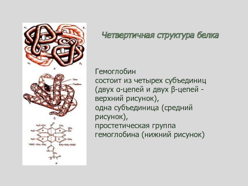 Составьте схемы реакций лежащих в основе процесса осаждения белка солями тяжелых металлов