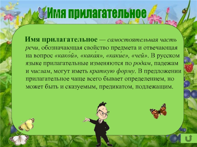 Повторение части речи имена. Интересное о прилагательных. Факты о имени прилагательном. Сведения об имени прилагательном. Интересные факты о именах прилагательных.