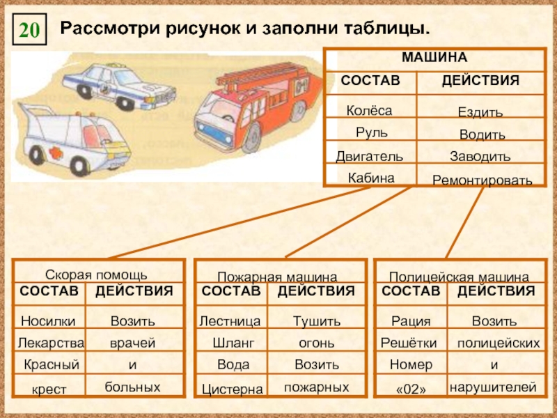 Рассмотри рисунок выбери существенный главный признак для классификации