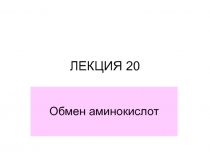 ЛЕКЦИЯ 20