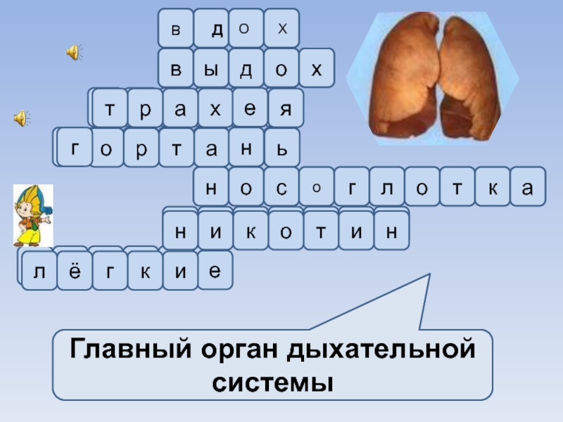 Кроссворд дыхание. Кроссворд системы органов. Кроссворд на тему системы органов животных. Кроссворд по теме дыхательная система и пищеварительная система. Красворд на тему 