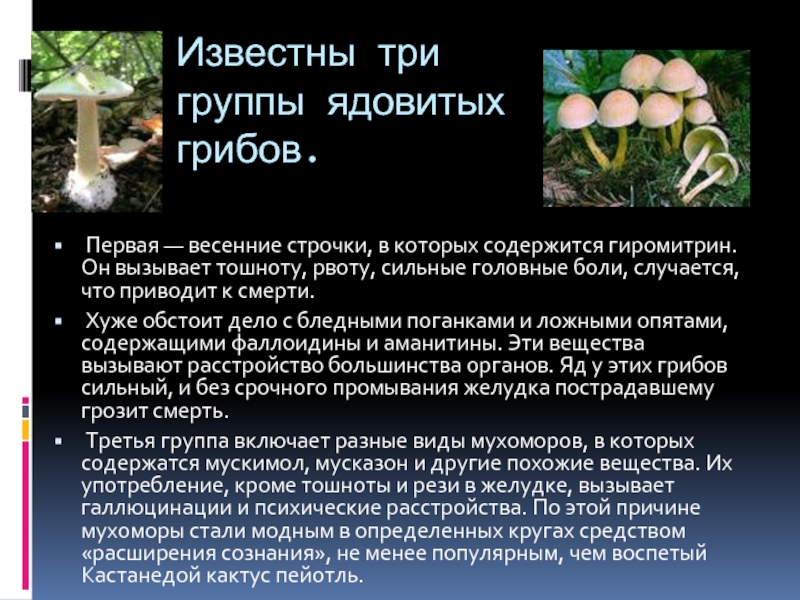 Известны три группы ядовитых грибов.  Первая — весенние строчки, в которых содержится гиромитрин. Он вызывает тошноту,