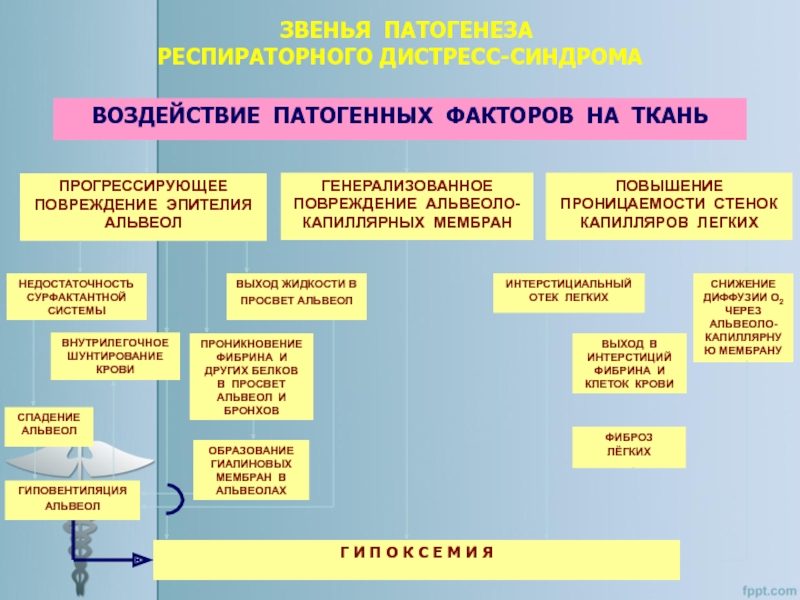 Патофизиология дыхательной системы презентация