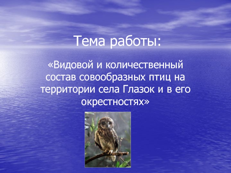 Презентация Видовой и количественный состав совообразных птиц на территории села Глазок и в его окрестностях